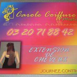 Carole Coiffure Orchies
