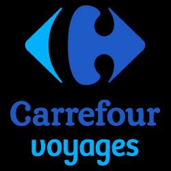 Agence de voyage Carrefour Voyages Plouzané - 1 - 