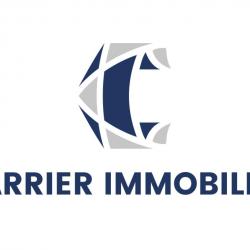 Agence immobilière CARRIER IMMOBILIER - 1 - 