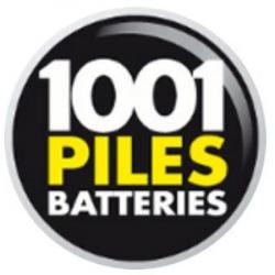 Electricien Cartouches 74 - 1001 Piles Batteries - 1 - 