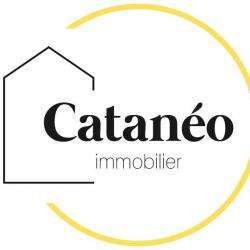 Agence immobilière Cataneo - 1 - 