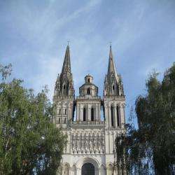 Lieux de culte Cathedrale - 1 - Cathédrale D'angers - 