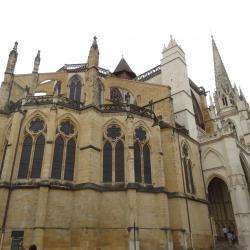 Lieux de culte Cathédrale Notre Dame - 1 - 