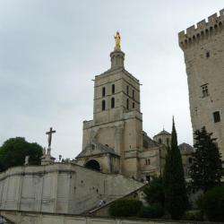 Lieux de culte Cathédrale Notre-dame Des Doms - 1 - Photo ©rusty426/shutterstock.com - 