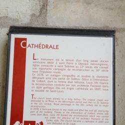 Cathédrale Saint-louis
