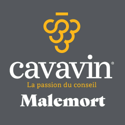 Cavavin - Malemort Malemort