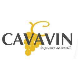 Caviste CAVAVIN - Auvers Sur Oise - 1 - 