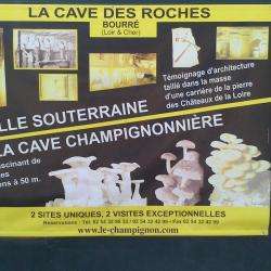 Cave Champignonnière des Roches