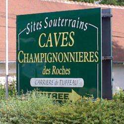Agence de voyage Cave Champignonnière des Roches - 1 - 