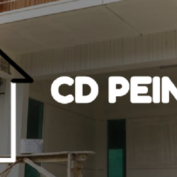 Peintre CD PEINTURE  - 1 - 