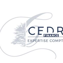 Cedre Finance Et Expertise Comptable Paris