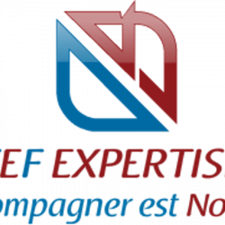 Comptable CEF EXPERTISE - 1 - 