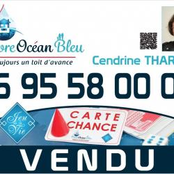 Agence immobilière Cendrine Tharaud - Immobilier - Savigny sur Orge  - 1 - 
