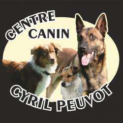 Dressage CENTRE CANIN CYRIL PEUVOT - 1 - 