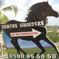 Centre équestre Centre Equestre De Valombreuse - 1 - 