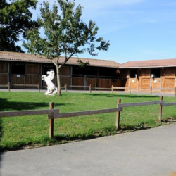 Etablissement scolaire Centre Equestre Poney Club Des Herbier - 1 - 