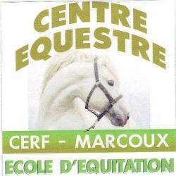 Cerf - Centre Equestre Régional Du Forez