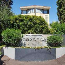 Cezanne Hotel  & Spa Cannes