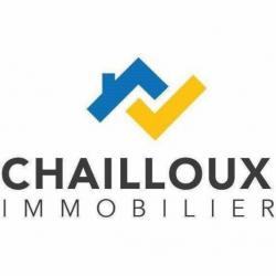 Agence immobilière Chailloux Immobilier - 1 - 