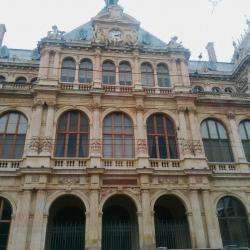 Chambre De Commerce Et D'industrie Lyon