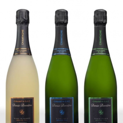 Producteur Champagne Denis Bovière - 1 - 