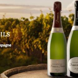 Champagne Dubreuil - Earl Le Bagnolet Mailly Champagne