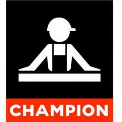Champion Thonon-les-bains Thonon Les Bains
