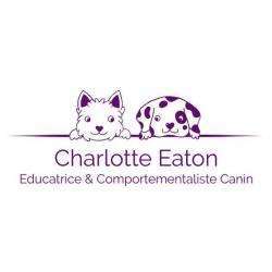 Dressage Charlotte Eaton - 1 - 
