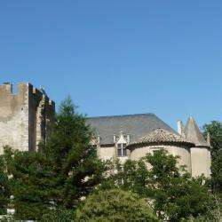 Château D'allemagne En Provence