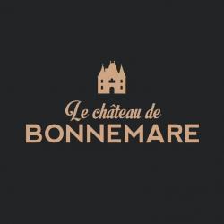 Château De Bonnemare Radepont