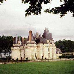 Site touristique Château de Boumois - 1 - 