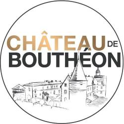 Château De Bouthéon Andrézieux Bouthéon