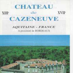 Site touristique CHATEAU DE CAZENEUVE - 1 - 