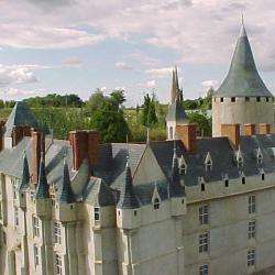 Site touristique Château de chateaudun - 1 - 