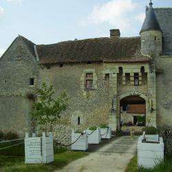 Site touristique Château De Chemery - 1 - 