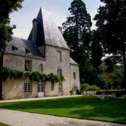 Hôtel et autre hébergement Château de La Cour - 1 - 