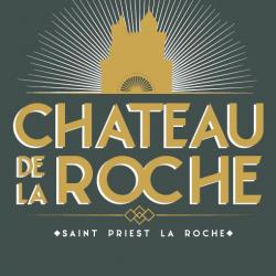 Château De La Roche Saint Priest La Roche