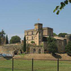 Site touristique Chateau De Lourmarin - 1 - 