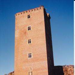 Site touristique Chateau de Montaner - 1 - 