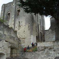 Chateau De Montrichard Chissay En Touraine