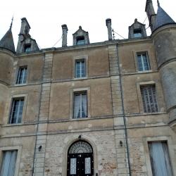 Château De Puybelliard