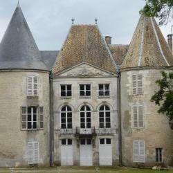 Site touristique château de reynel - 1 - Le Château - 