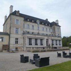 Château De Saulon Saulon La Rue