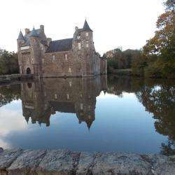 Site touristique Château de Trécesson - 1 - Le Château Se Reflète Dans Ses Douves - 