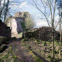 Site touristique Château du Ringelstein - 1 - 