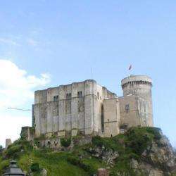Chateau Guillaume-le-conquérant Falaise
