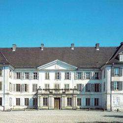 Château De Reinach Hirtzbach