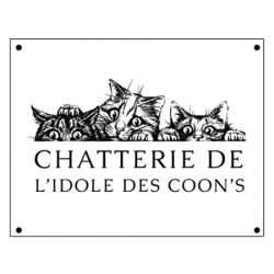 Chatterie De L'idole Des Coon's Bois