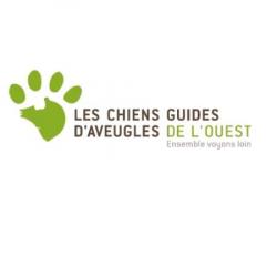 Chien Guide Aveugle Bouchemaine