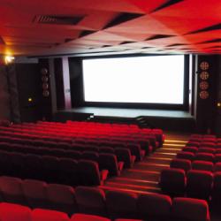 Théâtre et salle de spectacle Cinéma La Tournelle - 1 - 